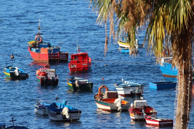 Přístav, Camara de Lobos, Madeira