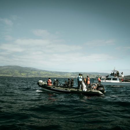 Whale watching, Faial