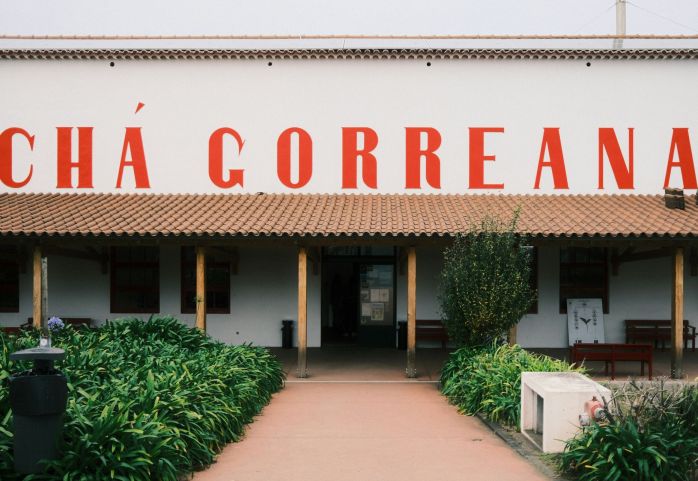 Čajové plantáže Gorreana na Azorech