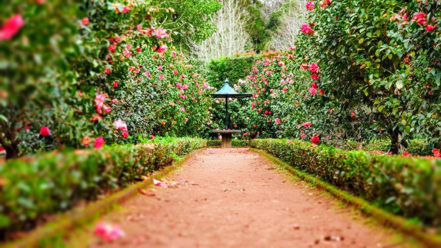 Parque Terra Nostra, São Miguel