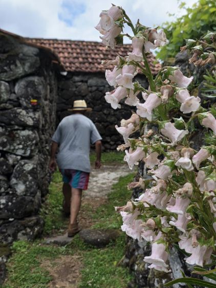 Starousedlíci vám rádi ukážou svou zahrádku. Azory