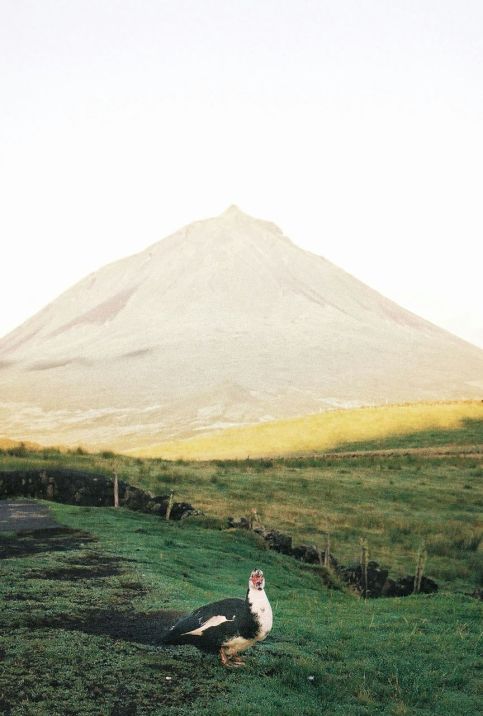 Pico - nejvyšší hora Portugalska