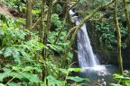 Salto do Prego, Azory