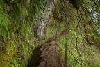 Jedna z levád, Madeira