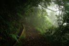 Leváda, Madeira