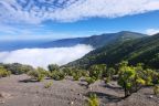 Vřesovce, El Hierro