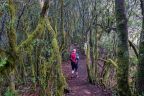 V národním parku Garajonay, La Gomera
